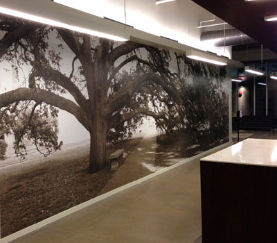 Corporate Interior Art
